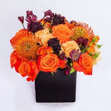 Оранжевое чудо 1